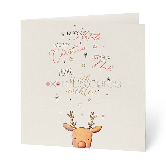 Bild 1 - Rudolph