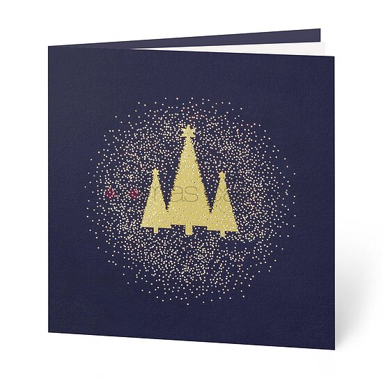 Bild 1 - Strahlende Weihnachtsbume