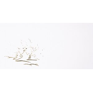 Couvert ohne Fenster